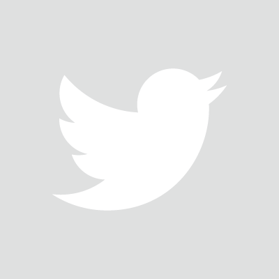 White Twitter bird logo on a grey screen.