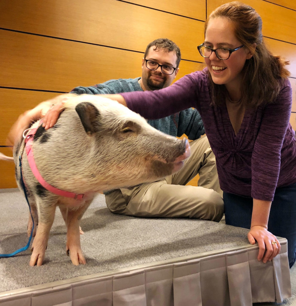 Boanne Wassink (right) pets Charlotte, a rescued pig, while a male student sits in the background.