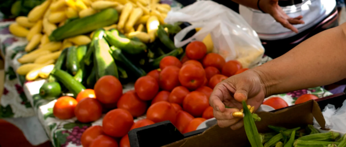 hands reach into a bin of tomatoes, other boxes of vegetables next to it